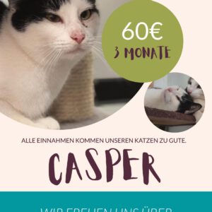 Casper Patenschaft für 3 Monate