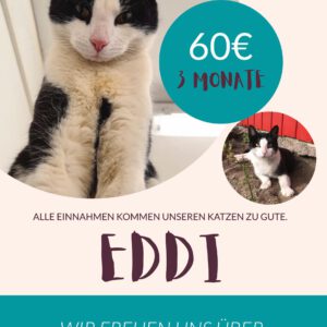 Eddi Patenschaft für 3 Monate