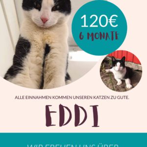 Eddi Patenschaft für 6 Monate