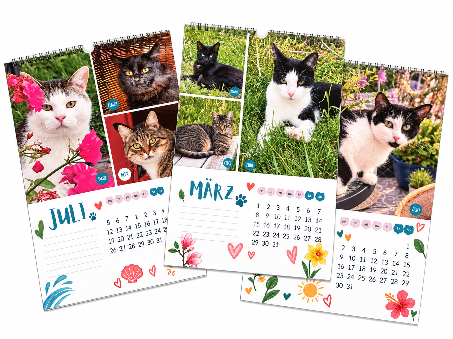 Katzenland Kalender 2027