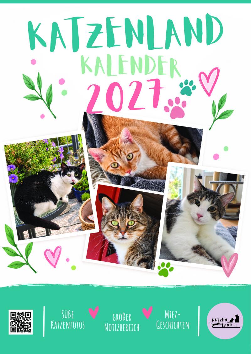 Katzenland Kalender 2027 – Bild 2