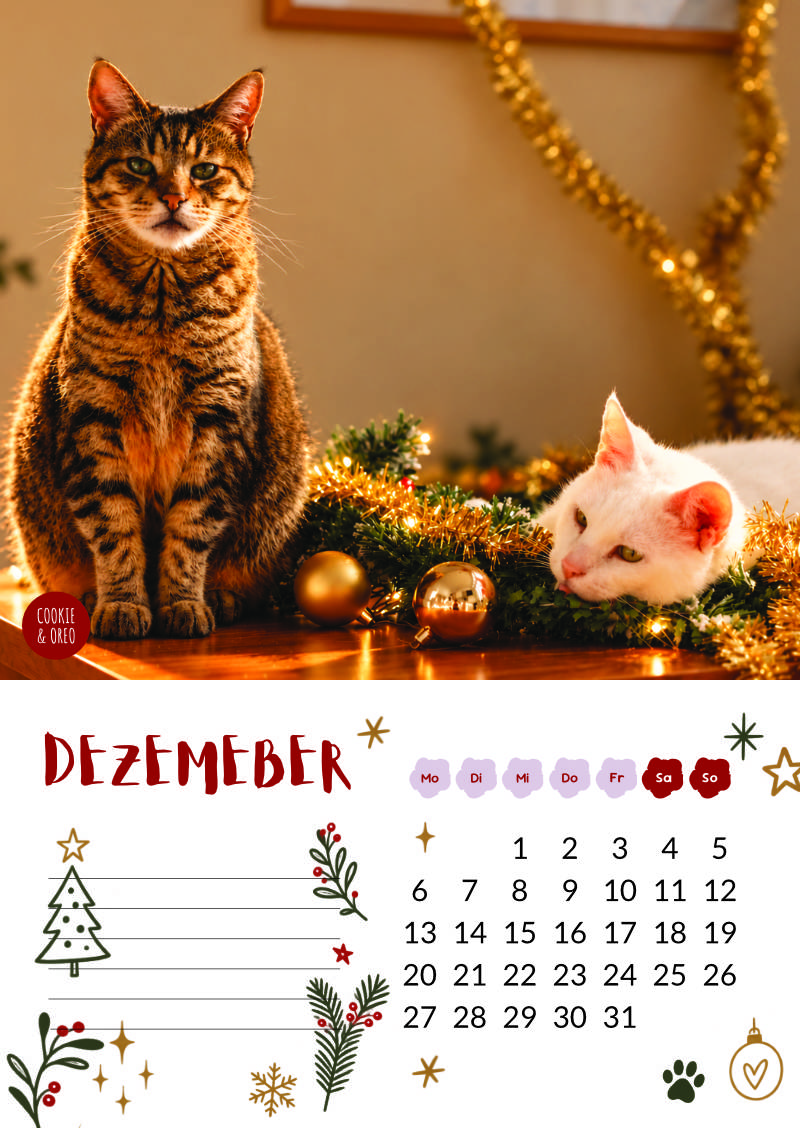 Katzenland Kalender 2027 – Bild 14