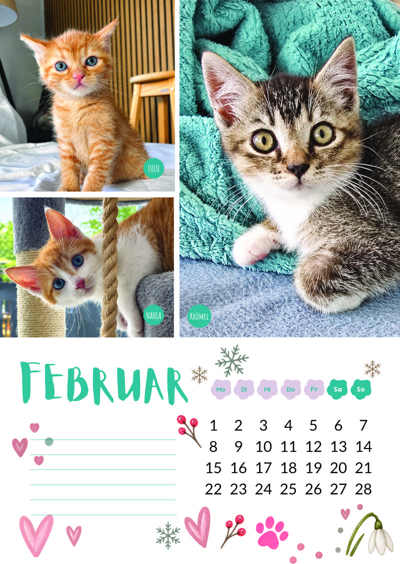 Katzenland Kalender 2027 – Bild 4