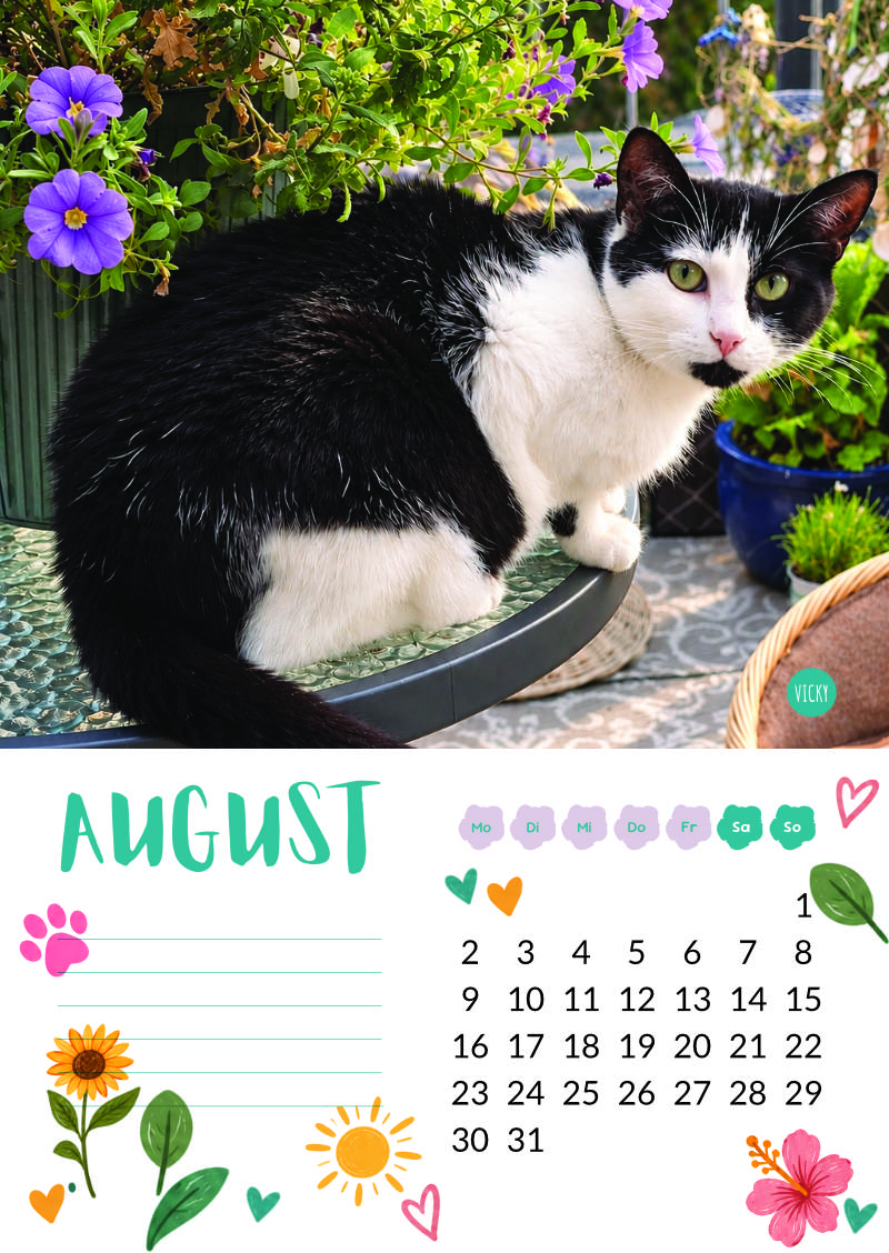Katzenland Kalender 2027 – Bild 10